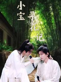 小宝寻花记
