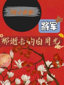 将军那逝去的白月光