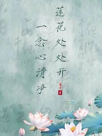 穿越進(jìn)蓮花樓？！
