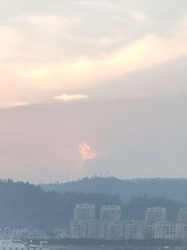 生活随笔集