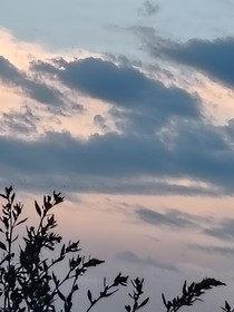 昨日如死