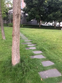 我自己和自己对话