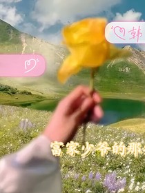 韩十杏与少爷的那些事