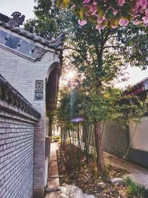 超變戰(zhàn)陀之流星變高冷了