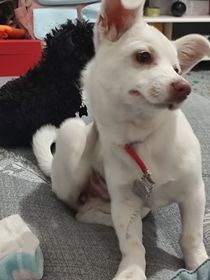 幸福的家啊