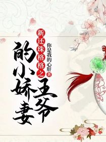 新还珠格格之王爷的小娇妻