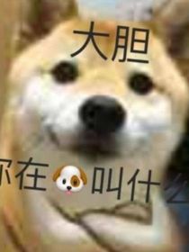 重生之来我是瓜田里的猹