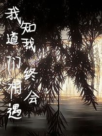 我知道我终会相遇