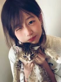 奈与鹤