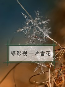 综影视：一片雪花