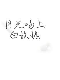 月光吻上白玫瑰