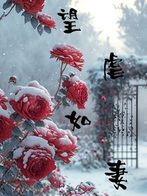 望虐如妻