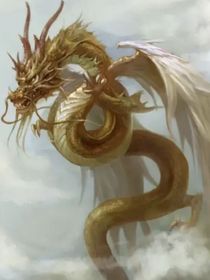 DYS郭老师家的小歹徒