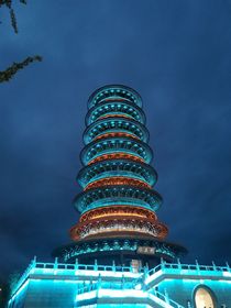 不要偷我的名字