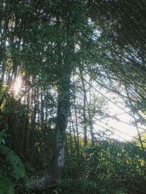 随便写哒