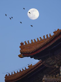 綜影視之寧安如夢