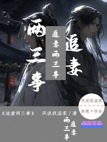 追妻兩三事