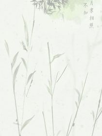 枫荀安