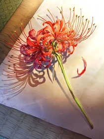 （綜漫）長姐在上