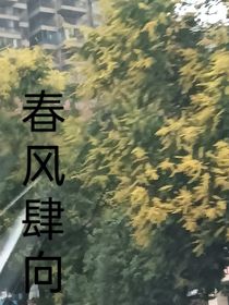 春风肆向