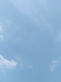 昭月难