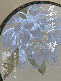 昙花一梦……