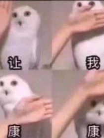 重生之暴打狗男女