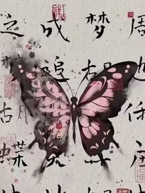 我在随心的那些事