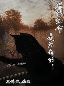 猫生无价