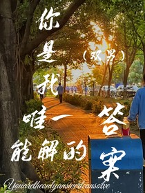 你是我唯一能解的答案