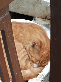 看看誰贏