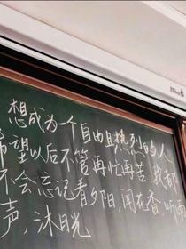 后宫……记