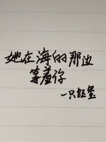 她在海的那边等着你