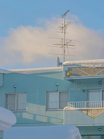 夏鸣有声