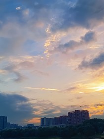 我在偶活里養(yǎng)老