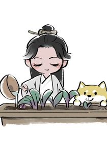 莲花楼之十世系统