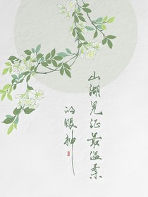 盗墓之复明