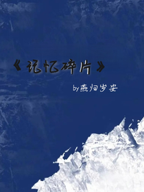 不完整记忆碎片