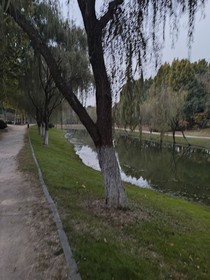 不知名的夢(mèng)境