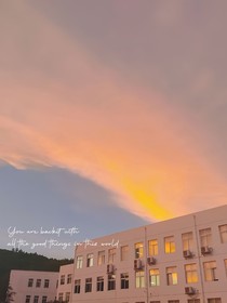 日久怎能不生情