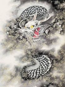 综影视：我是最后的一个崽