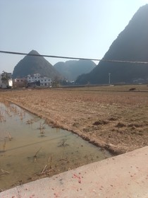 盗应有道