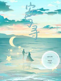 安与寻