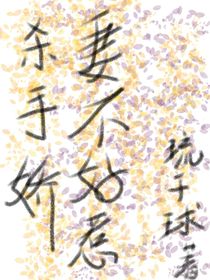 杀手娇妻不好惹呀