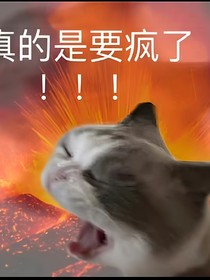 爱笔之死，作业暂停