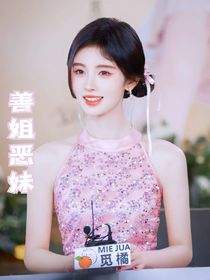 善姐恶妹