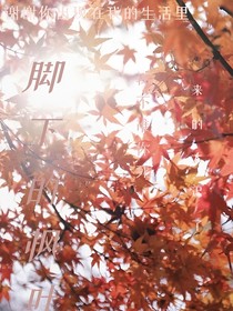 脚下的枫叶