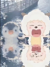 笙笙心雨