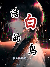 洁白的鸟