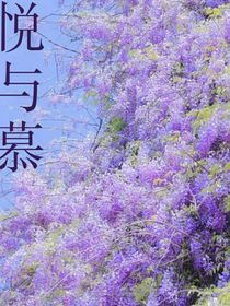 悦与慕